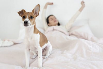 vrouw en hond in bed